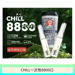 10種口味｜鴨嘴獸CHILL 8800口一次性電子菸 8ml大容量煙油