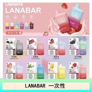 LANA BAR可充电一次性電子煙霧化5000口(3.0%)