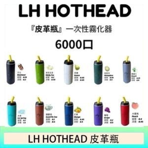 LH HOTHEAD皮革瓶電子煙可充電6000口一次性