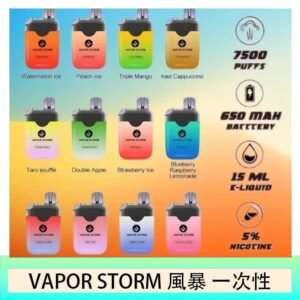 VAPENGIN VENUS維納斯替換彈主機一次性600口