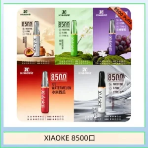 梟客XIAOKE一次性電子菸拋棄式8500口