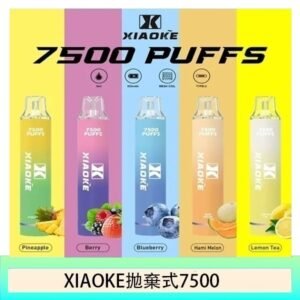 17種口味|梟客一次性電子菸 XIAOKE 7500口 炫酷發光設計